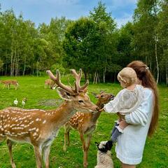 Агротуристический комплекс Оленья ферма Бэмби Лэнд, Московская область