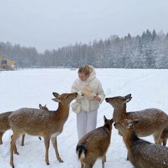 Агротуристический комплекс Оленья ферма Бэмби Лэнд, Московская область