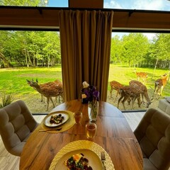 Агротуристический комплекс Оленья ферма Бэмби Лэнд, Московская область