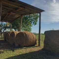 Агротуристический комплекс Оленья ферма Бэмби Лэнд, Московская область