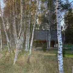 Глэмпинг Козы да Берёзы, Серпухов, Московская область