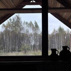 Глэмпинг Козы да Берёзы, Серпухов, Московская область