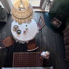 Глэмпинг Козы да Берёзы, Серпухов, Московская область