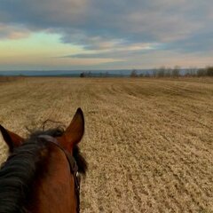 Глэмпинг Козы да Берёзы, Серпухов, Московская область