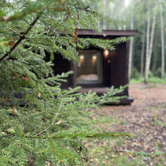 Глэмпинг Форестер, Ярославская область