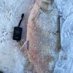 Эко-отель Мандарин, Московская область