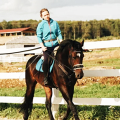 Гостевой комплекс Ранчо рф, Московская область