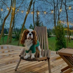 Загородный клуб Five Star Place, Ленинградская область