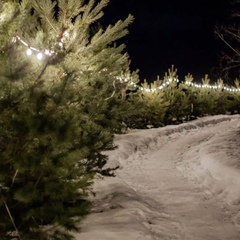 Загородный клуб Five Star Place, Ленинградская область