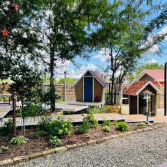 Глэмпинг Скворечник, Краснодарский край