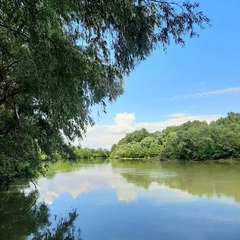 Глэмпинг Скворечник, Краснодарский край