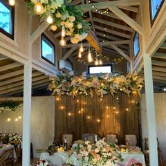 Глэмпинг Скворечник, Краснодарский край