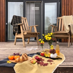 Глэмпинг Sheluha house Уютный Tiny House с мансардным окном, Московская область