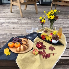 Глэмпинг Sheluha house Уютный Tiny House с мансардным окном, Московская область