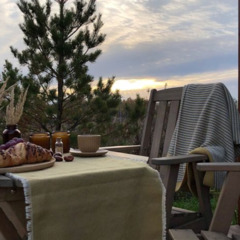 Глэмпинг Sheluha house Уютный Tiny House с мансардным окном, Московская область