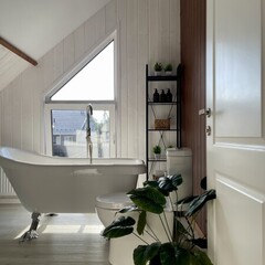 Глэмпинг Sheluha house Дом в Пушкино, Московская область