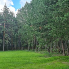 База отдыха Ёлки, Тюменская область