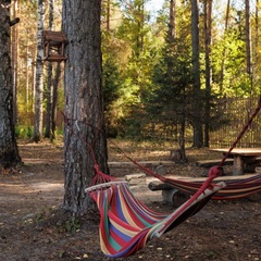 База отдыха Ёлки, Тюменская область