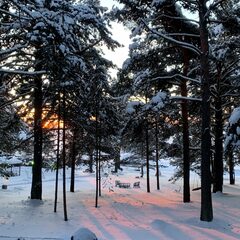 Гостевой дом Гостевые дома Талео Хоум, Республика Карелия