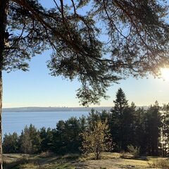 Гостевой дом Гостевые дома Талео Хоум, Республика Карелия