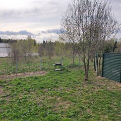 Глэмпинг Shapkin Glamping, Московская область