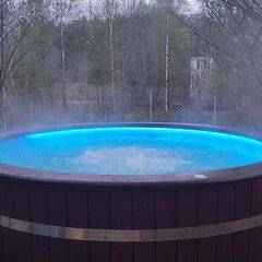 Глэмпинг Shapkin Glamping, Московская область