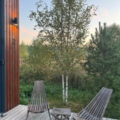 Глэмпинг Sheluha house Уютный Tiny House с мансардным окном, Московская область