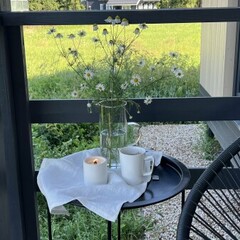 Глэмпинг Sheluha house Дом с сауной, Московская область