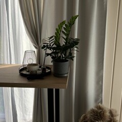 Глэмпинг Sheluha house Дом с сауной, Московская область