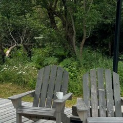 Глэмпинг Sheluha house Барн с проектором, Московская область