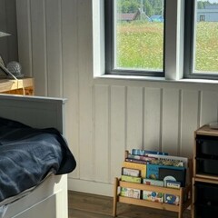 Глэмпинг Sheluha house Барн с проектором, Московская область