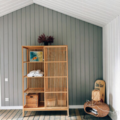 Глэмпинг Sheluha house Барн с проектором, Московская область