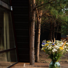 База отдыха Сосенки Lounge, Самарская область