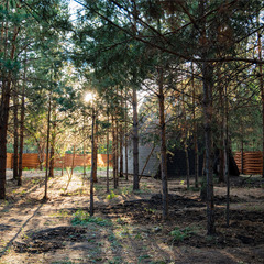 База отдыха Сосенки Lounge, Самарская область