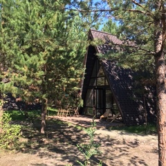 База отдыха Сосенки Lounge, Самарская область