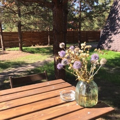 База отдыха Сосенки Lounge, Самарская область