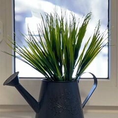 Гостевой дом МАруся, Рязанская область