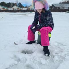 Гостевой дом МАруся, Рязанская область