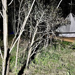 Агротуристический комплекс Беловодье, Калужская область