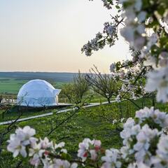Глэмпинг The Garden, Кавказские Минеральные Воды