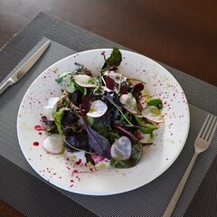 Глэмпинг The Garden, Кавказские Минеральные Воды