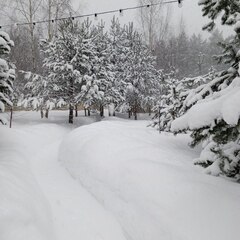 Глэмпинг БлагоДать, Московская область