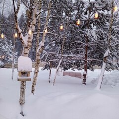 Глэмпинг БлагоДать, Московская область