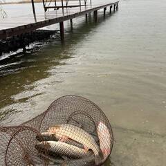 Усадьба Фазаново, Ростовская область