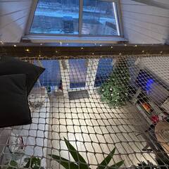 Глэмпинг Relax Villas A-Frame, Московская область