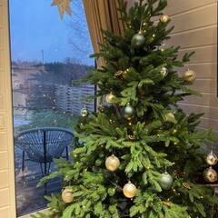 Глэмпинг Relax Villas A-Frame, Московская область