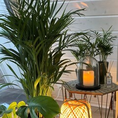 Глэмпинг Relax Villas A-Frame, Московская область