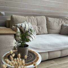 Глэмпинг Relax Villas A-Frame, Московская область