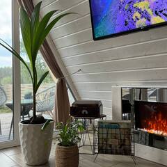 Глэмпинг Relax Villas A-Frame, Московская область