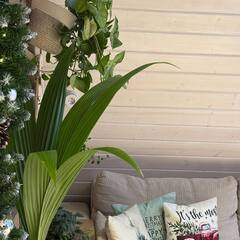 Глэмпинг Relax Villas A-Frame, Московская область